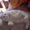  サムネイル2