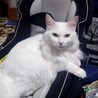 サムネイル3