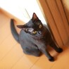  サムネイル2