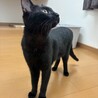  サムネイル3