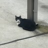  サムネイル2