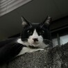  サムネイル3