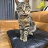  サムネイル2
