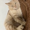  サムネイル2