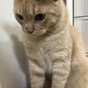  サムネイル3