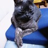  サムネイル3