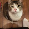  サムネイル2