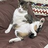 サムネイル3