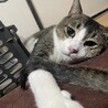  サムネイル4
