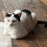  サムネイル2