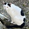  サムネイル3