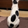  サムネイル4
