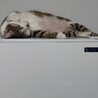  サムネイル3