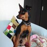  サムネイル3
