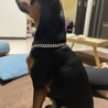  サムネイル4