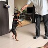  サムネイル5