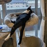  サムネイル2