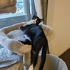  サムネイル3