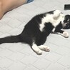  サムネイル2