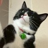  サムネイル3