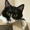  サムネイル5