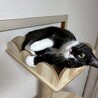  サムネイル6