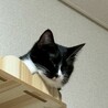  サムネイル7