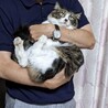  サムネイル2
