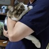  サムネイル3