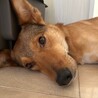  サムネイル2