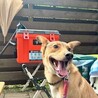  サムネイル3
