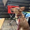 サムネイル4