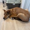  サムネイル5