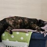  サムネイル3