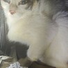  サムネイル2