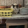  サムネイル3