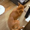  サムネイル2