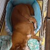 サムネイル3