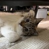 サムネイル2