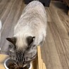  サムネイル3