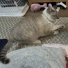  サムネイル4