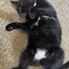  サムネイル3