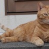  サムネイル4