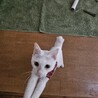  サムネイル2