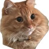  サムネイル2