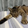  サムネイル3