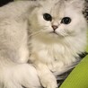  サムネイル2