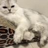  サムネイル3