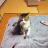  サムネイル2