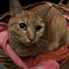  サムネイル3